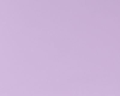 3119