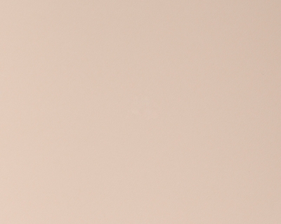 3163