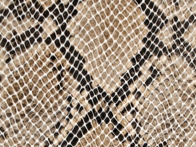 DG12 SNAKE