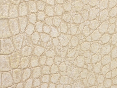 DG14 ALLIGATOR
